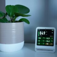 A plant and a monitor sit on a white table.