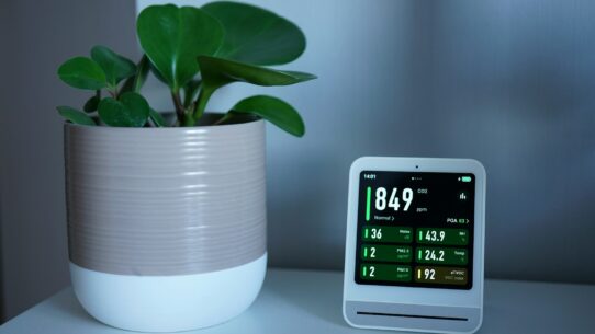 A plant and a monitor sit on a white table.